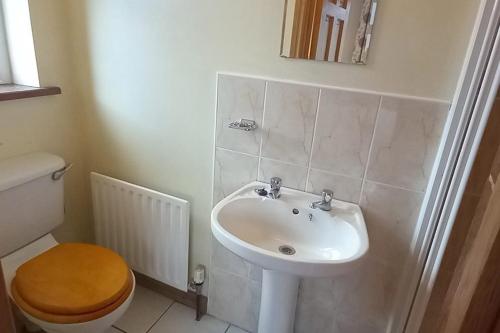 a bathroom with a sink and a toilet at Sarlyn Holiday Home Achill in River