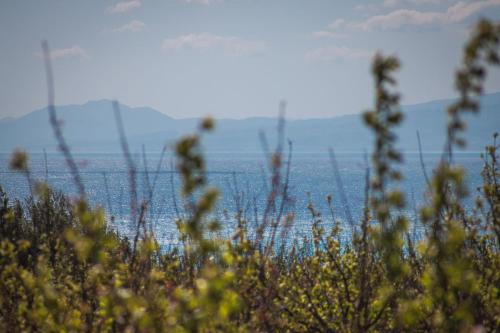 a field of grass with the ocean in the background at Masseria Agriturismo Torre Di Albidona in Trebisacce