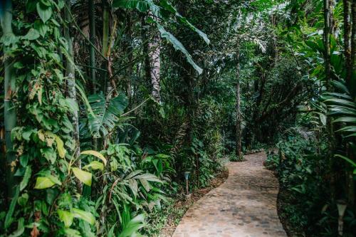 Arahuana Jungle Resort & Spa
