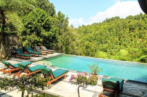 una piscina con sillas y un montón de árboles en BINTANG MUNDUK en Munduk