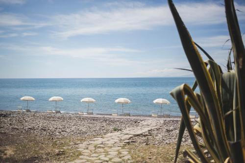 a row of white umbrellas on a beach with the ocean at Masseria Agriturismo Torre Di Albidona in Trebisacce