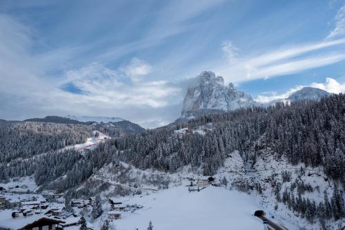a mountain in the distance with snow and trees at Hotel Vernel in Santa Cristina in Val Gardena