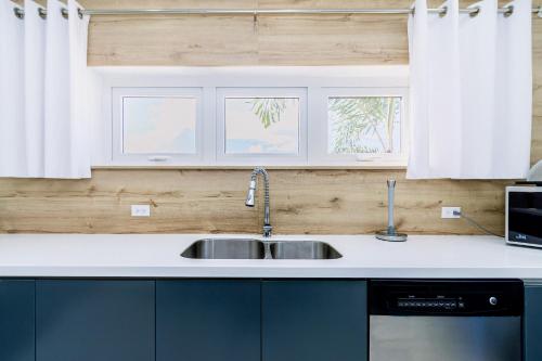 a kitchen with a sink and two windows at Turibana 50 G in Noord