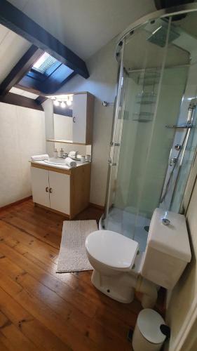 a bathroom with a shower and a toilet and a sink at La caverne de la rose d'or in Orange