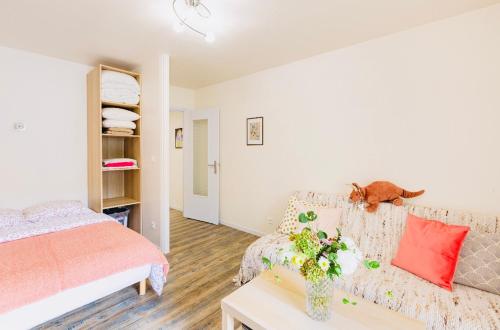 Location petit F1 neuf à Chatel-Guyon (63140)