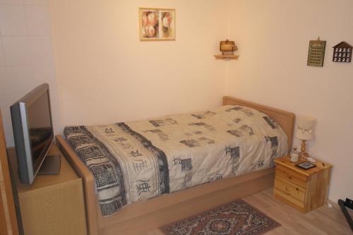 a small bedroom with a bed and a tv at Ferienwohnung Messerschmidt in Quedlinburg