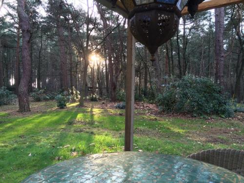 a table in a yard with the sun shining through the trees at Gierle Garden Bungalow Escape in Lille