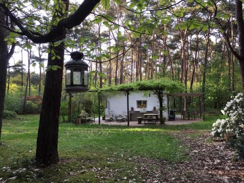 a backyard with a shed and a lamp on a tree at Gierle Garden Bungalow Escape in Lille