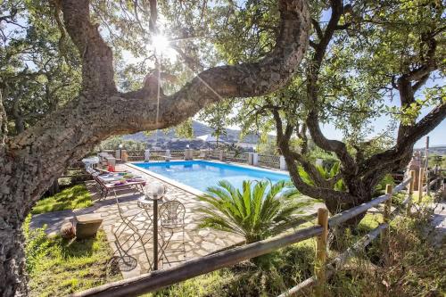 Kolam renang di atau dekat dengan Villa Olive tree, immersa nella natura per relax e quiete