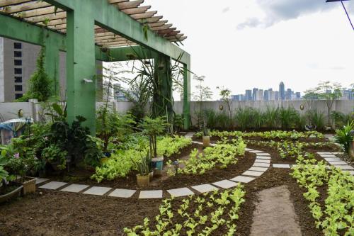 a garden with lettuce and vegetables in a greenhouse at The Boni Tower by RSPL Manila City Center in Manila