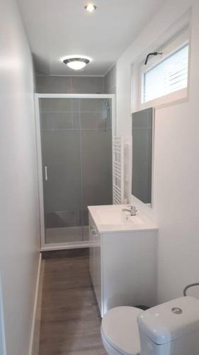 une salle de bain avec toilettes, lavabo et douche dans l'établissement Petit T2 proche centre ville, à La Roche-sur-Yon