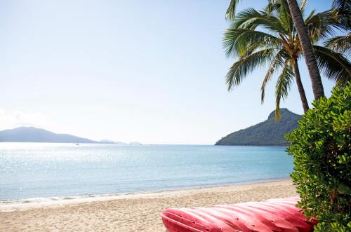 a red kayak on a beach with a palm tree at Beach Club in Hamilton Island