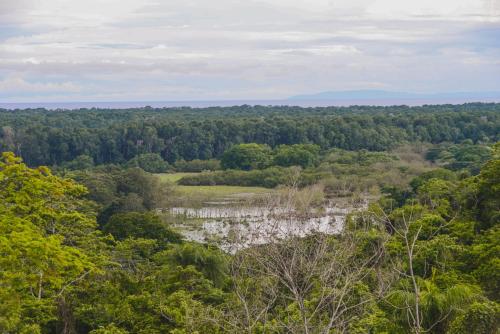 an aerial view of a forest with a body of water at Hotel Cerro Lodge in Tarcoles
