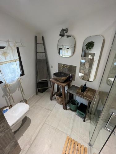 une salle de bain avec toilettes et miroir dans l'établissement Le Mazet de l'Isle sur la Sorgue, à Saumane-de-Vaucluse