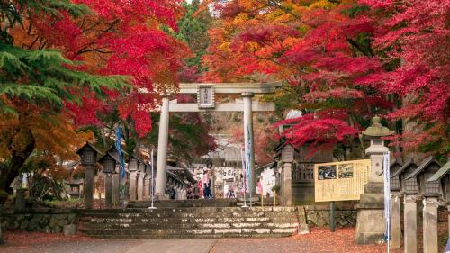 un cancello in un parco con alberi colorati di Hotel Global View Koriyama a Kōriyama