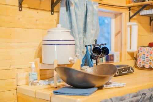 a kitchen counter with a bowl and a tea kettle at Studio Log Cabin With Aurora Views in Fairbanks