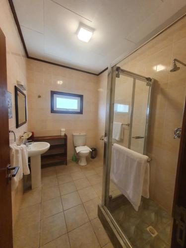 uma casa de banho com um chuveiro, um lavatório e um WC. em La Passe Holiday Villa em La Digue