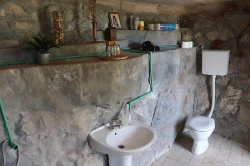a bathroom with a sink and a toilet at KAMENGRAD CUPICA in Danilovgrad