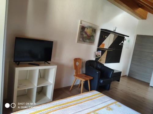 a living room with a television and a chair at Gasthaus Löwen in Dettighofen
