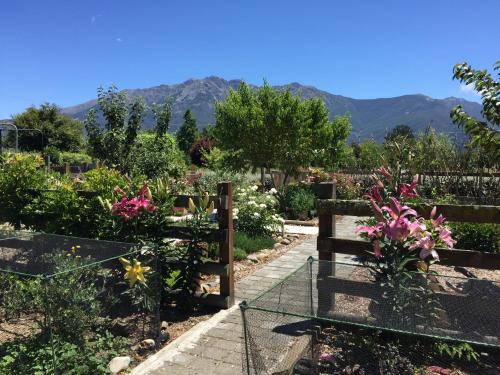 a garden with flowers and a fence and mountains at Birch Hill Cottage -30 minutes from St Arnaud in Wairau Valley