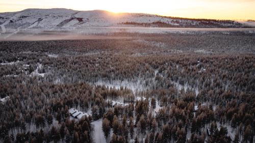 an aerial view of a snow covered forest at sunset at Holiday In Lapland - Pikkurakka 4 A 3 in Levi