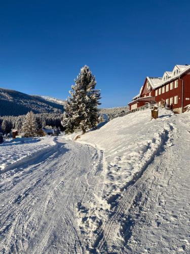 a snow covered hill with a house and a tree at Penzion Pod lesem in Pec pod Sněžkou