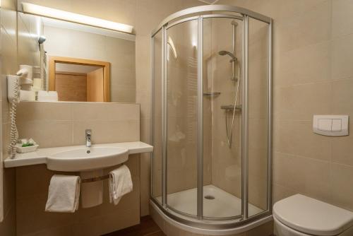 a bathroom with a shower and a sink and a toilet at Hotel Hierzegger in Tauplitzalm