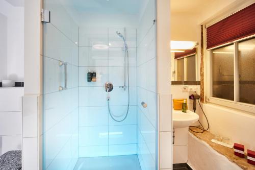a bathroom with a shower with a glass door at Weinforum Franken Hotel & Restaurant in Eibelstadt