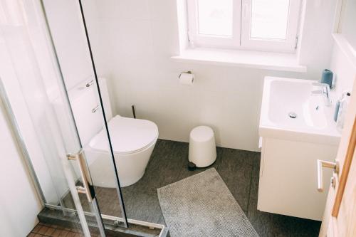 La salle de bains est pourvue de toilettes et d'un lavabo. dans l'établissement Kalndaķi, à Milzkalne