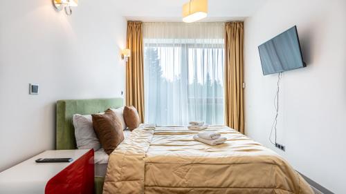 a bedroom with a bed and a couch and a television at Cold Mountain Apartment in Silver Mountain Resort in Poiana Brasov