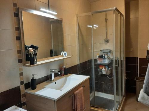 uma casa de banho com um lavatório e um chuveiro em Appart'Hotel NLV em Norroy-le-Veneur