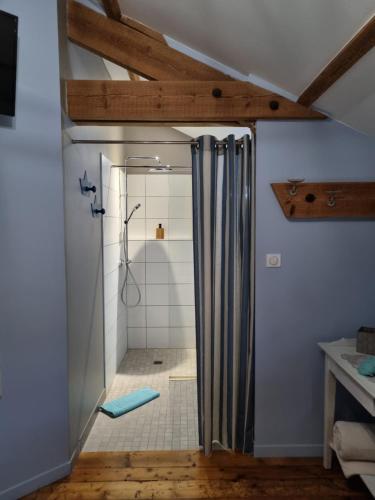y baño con ducha y cortina de ducha. en La Maison de Vénus en Luçon