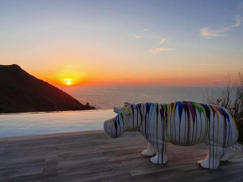 Příroda nedaleko vily