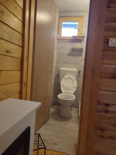 a bathroom with a toilet in a tiny house at Vikendica Jankovic in Pale