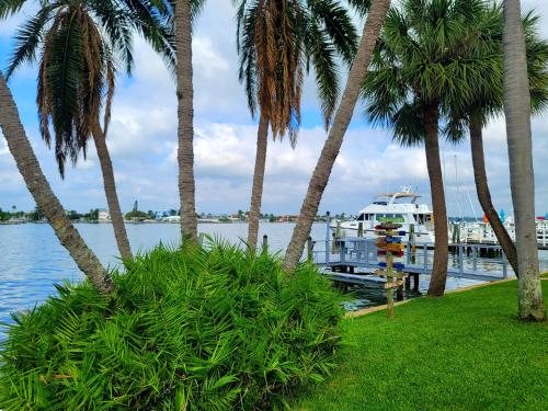 a boat docked at a dock with palm trees at Searenity, Waterside studio in the heart of Treasure Island, walk to beach in St Pete Beach