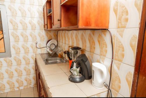 eine Küchentheke mit einem Mixer und einem Waschbecken in der Unterkunft DUPLEXE HAUT STANDING centre ville Quartier Fouda in Jaunde