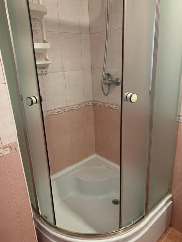 a shower with a glass door in a bathroom at Svitlyachok in Yaremche