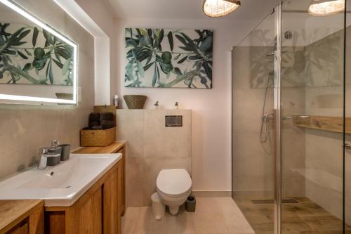 a bathroom with a shower and a toilet and a sink at Osada Sudecka in Lądek-Zdrój