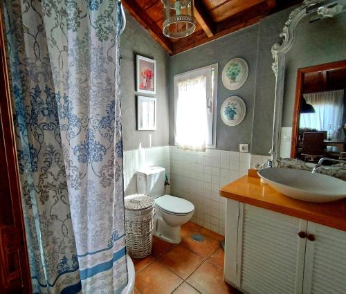 een badkamer met een toilet en een wastafel bij El Topo in Puntagorda