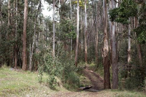 a dirt trail in the middle of a forest at Hanging Rock Views in Woodend