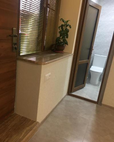 a bathroom with a toilet and a potted plant at Bardy guest house in Chʼiva