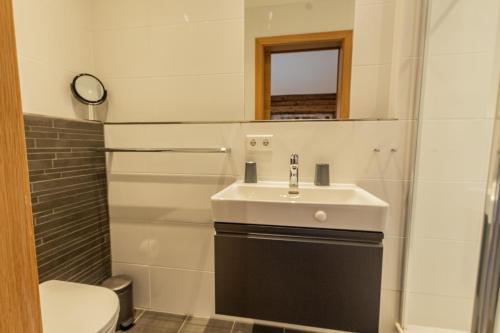 a bathroom with a sink and a toilet at Chalet Hohe Tauern - Steinbock Lodges in Zell am See