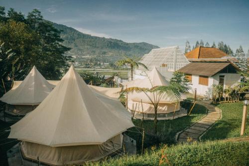 un grupo de tiendas de campaña en un campo con una montaña en Alamu Eco Lodge, en Bedugul