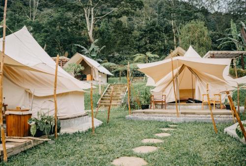 Alamu Eco Lodgeにある庭