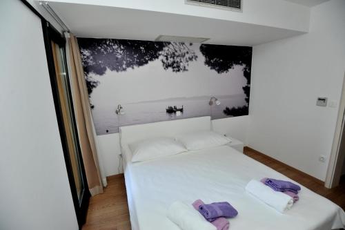 Gallery image of Apartments Villa Tomislav in Brela