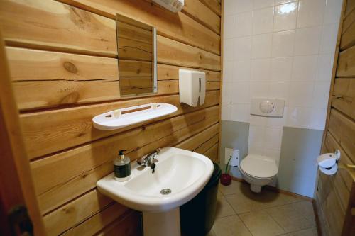 y baño con lavabo y aseo. en Sodyba šeimai "Obuolių namai", en Gaylyunay