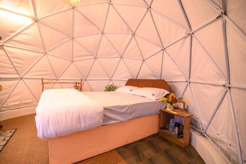 1 dormitorio con 1 cama en una tienda de campaña en la cúpula en Anandavana Jungle Resort By Lexstays - Kanthalloor-Marayur en Kanthalloor