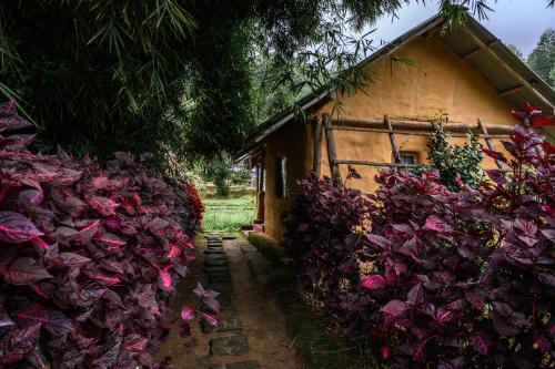 a building with pink flowers on the side of it at Anandavana Jungle Living By LexStays - Kanthalloor-Marayur in Kanthalloor
