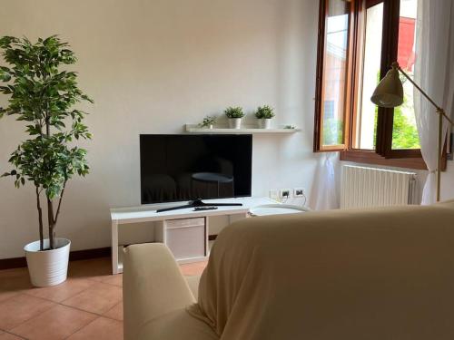 sala de estar con TV y mesa con planta en Trilocale IL GLICINE, en Ferrara