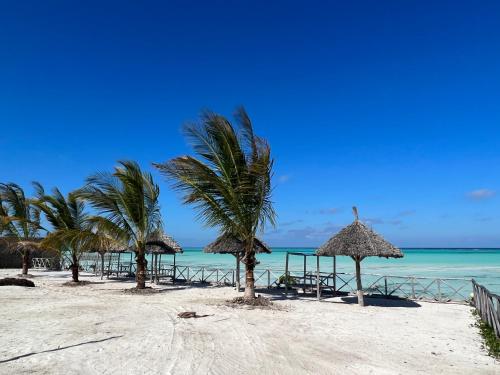 - une plage avec des chaises et des parasols et l'océan dans l'établissement Aquamarina Hotel & Villas, à Jambiani